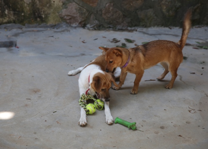 thumb_GZ8A5708_1024