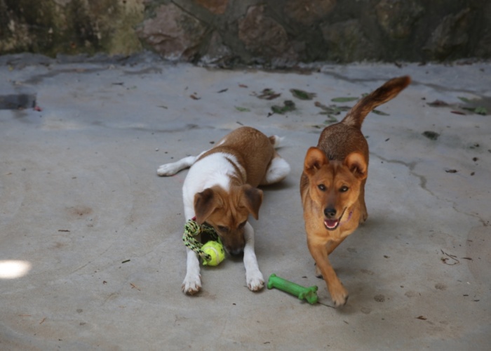 thumb_GZ8A5709_1024